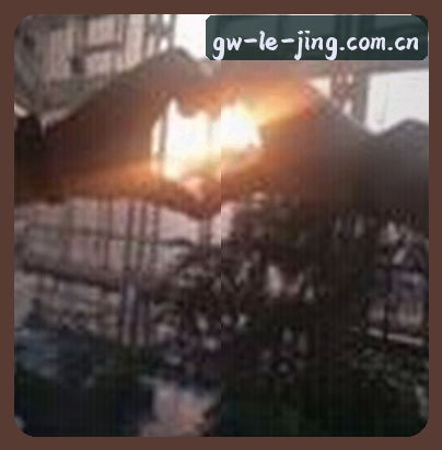 周涛